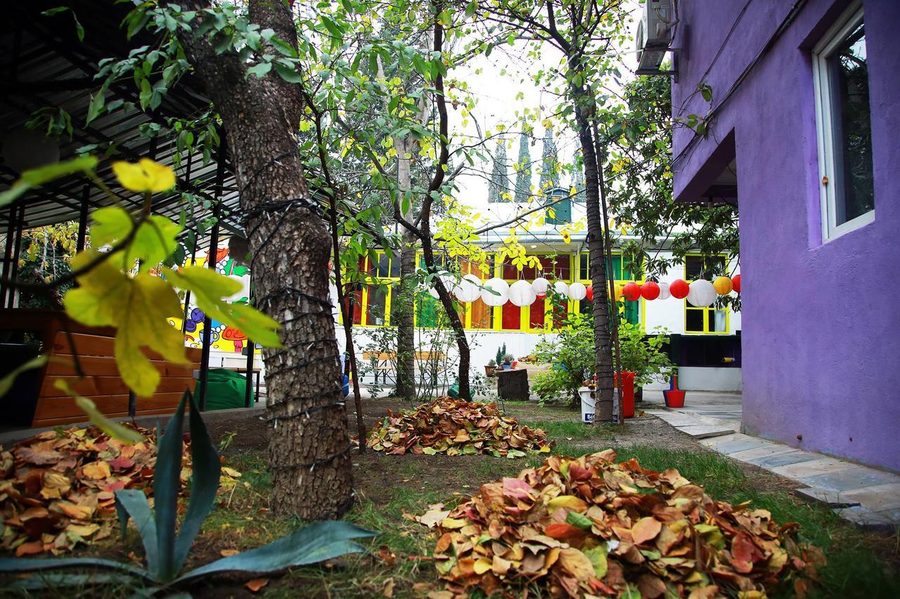 Zgarbi Hostel Tbilissi Extérieur photo